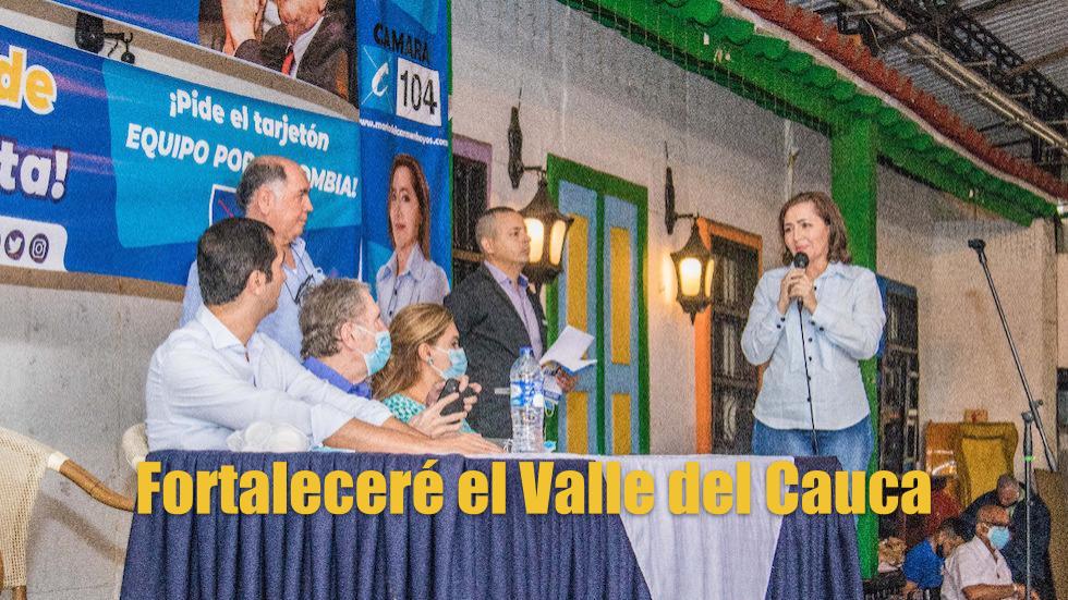 María del Carmen Hoyos, propuestas legislativas