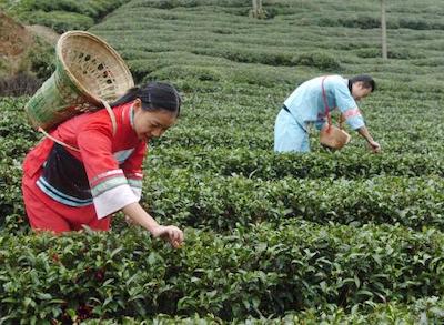 Trabajadores rurales China