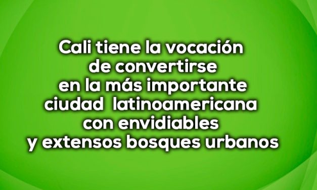 Los bosques urbanos caleños