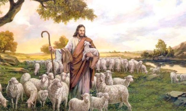 El Buen Pastor da la vida por las ovejas