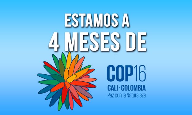 Preparémonos para la época embelleciendo la ciudad