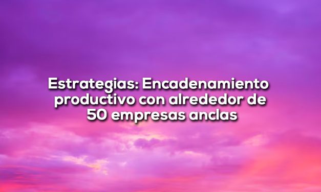 100 mil nuevos empleos, Edwin Maldonado