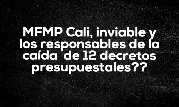 Participación ciudadana, modificaciones presupuesto Cali2024 II