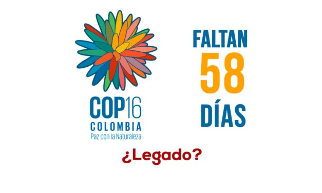 COP16 – US50 millones – Cali necesita….
