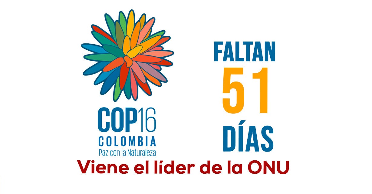 COP16, acuerdo Colombia y Naciones Unidas: Seguridad