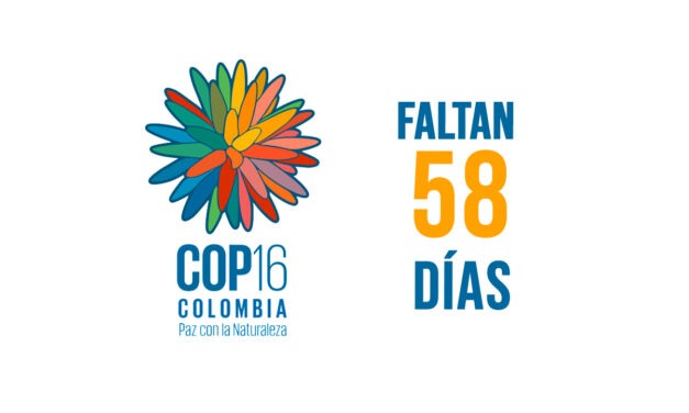 Costo y legado de COP16