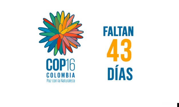 La COP 16 en Cali