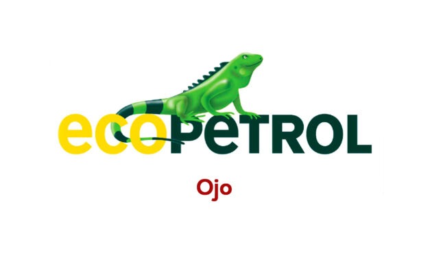 Restricciones y contingencia del gas