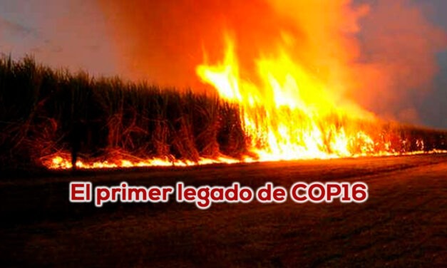 Gran noticia vallecaucana, fin de la quema de la caña
