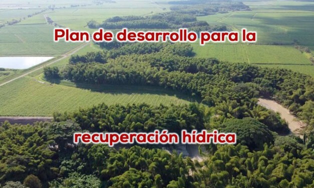 Corredor biodiverso de 890 kms, gracias COP 16