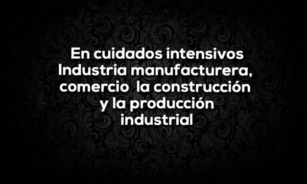 Cierre 2024, caída de sectores de la economía