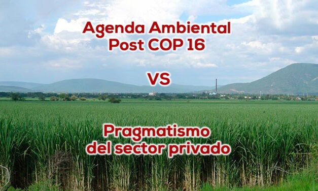 COP 16: El 2030 es ahora