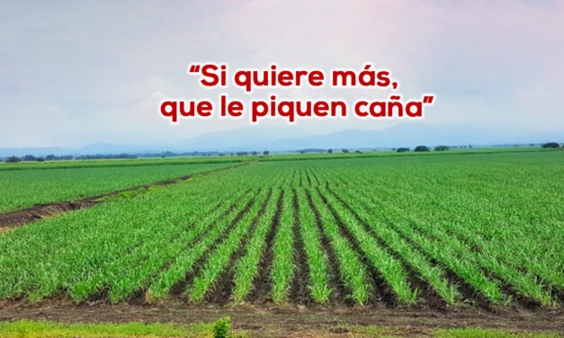 Que orgulloso me siento de ser Vallecaucano