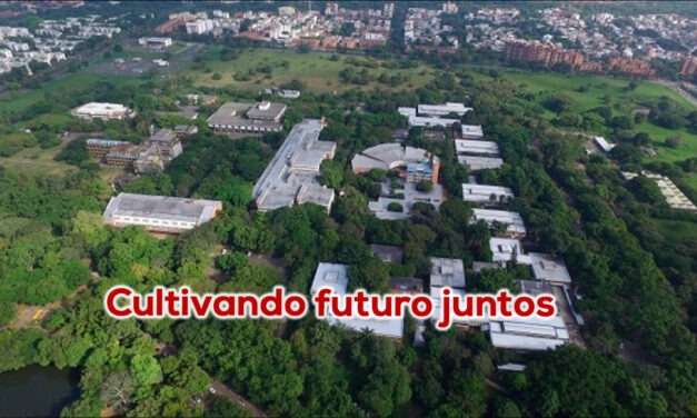 Construcción del deporte universitario y escolar