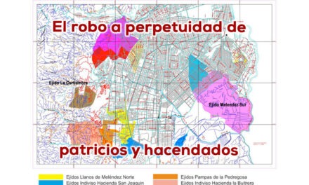 Los ejidos en Cali