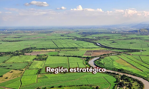 Valle del Cauca, gran historia IV