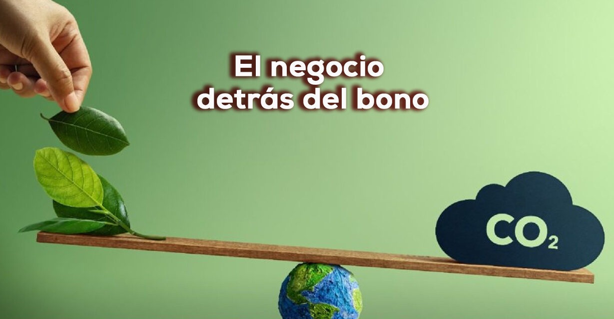Bonos de carbono: el nuevo oro verde que se cotiza por hectárea”