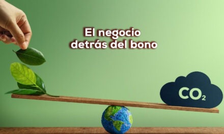 Bonos de carbono: el nuevo oro verde que se cotiza por hectárea”