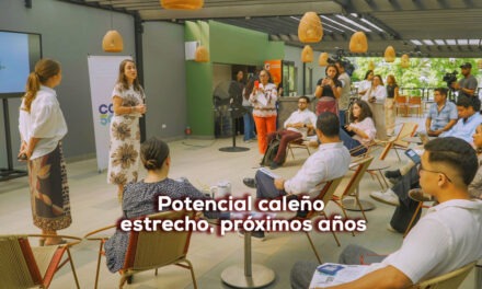 ¿Visión de Cali 500+?
