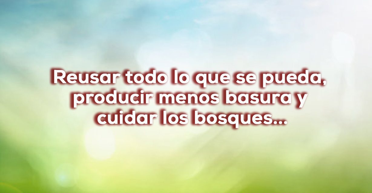 El consumismo no es progreso