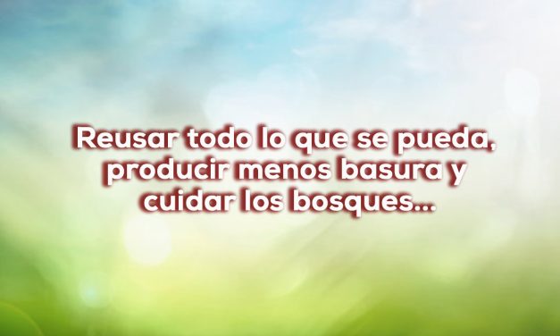 El consumismo no es progreso