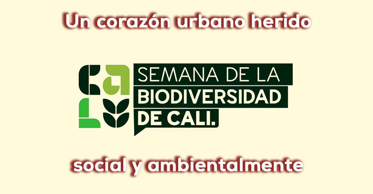 Semana de la biodiversidad y el Centro de Cali