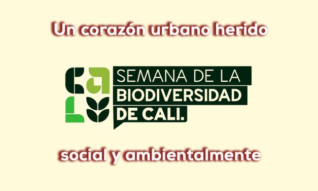 Semana de la biodiversidad y el Centro de Cali