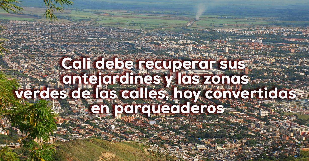 Árboles, árboles, árboles