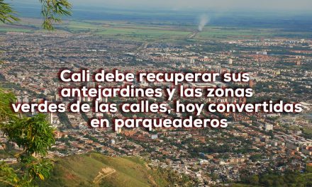 Árboles, árboles, árboles