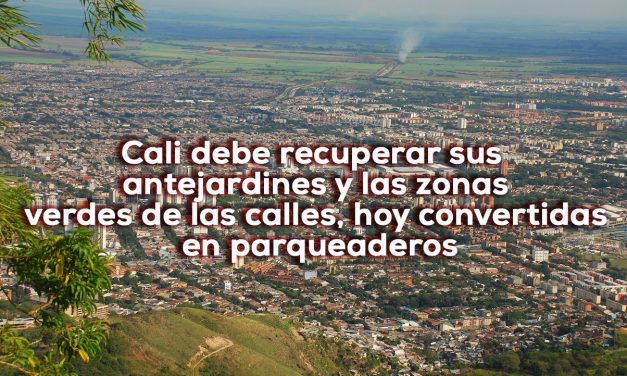 Árboles, árboles, árboles
