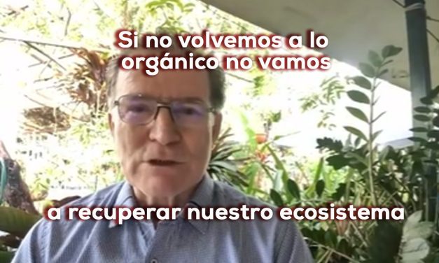 Fertilizantes y potenciadores  orgánicos: Hernando Maya