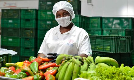 Alimentación y nutrición: Programas de integración y apoyo a la familia en Cali