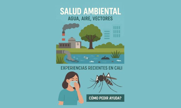 Agua, aire y mosquitos, los frentes silenciosos de la salud pública en Cali