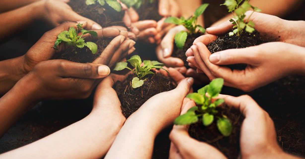 Cali Siembra Futuro: Guía de Formación en Sostenibilidad y Medio Ambiente