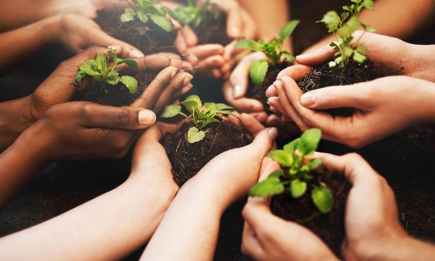 Cali Siembra Futuro: Guía de Formación en Sostenibilidad y Medio Ambiente