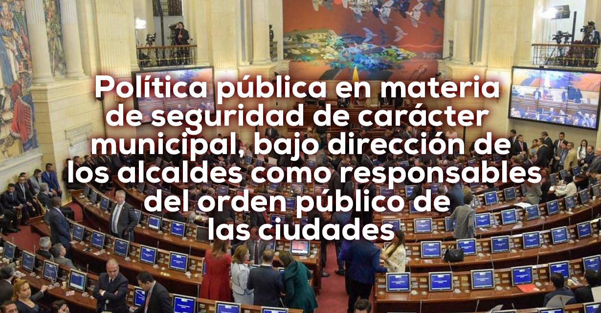 La seguridad es un bien social