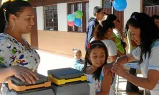 El Despertar de las Brigadas Escolares en Cali