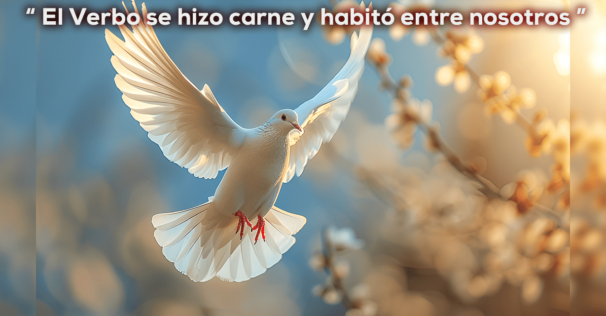 VIDA NUEVA