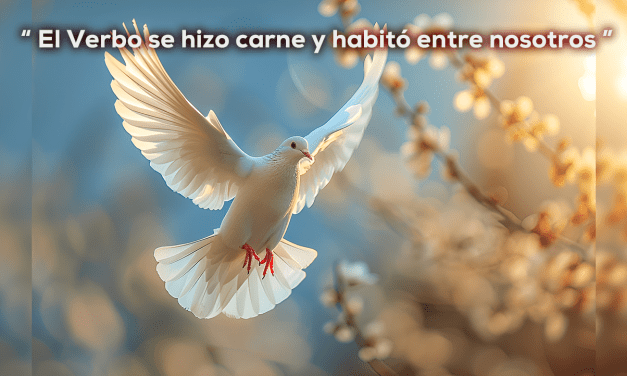 VIDA NUEVA