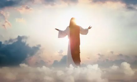 “ Sois sal y luz para el mundo ”