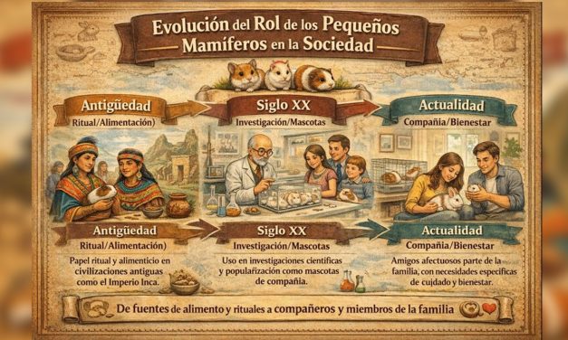 Evolución del rol de los pequeños mamíferos en la sociedad