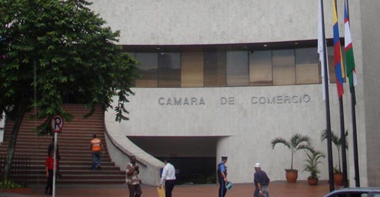 Afiliados a la Cámara de Comercio de Cali: liderazgo empresarial que construye ciudad