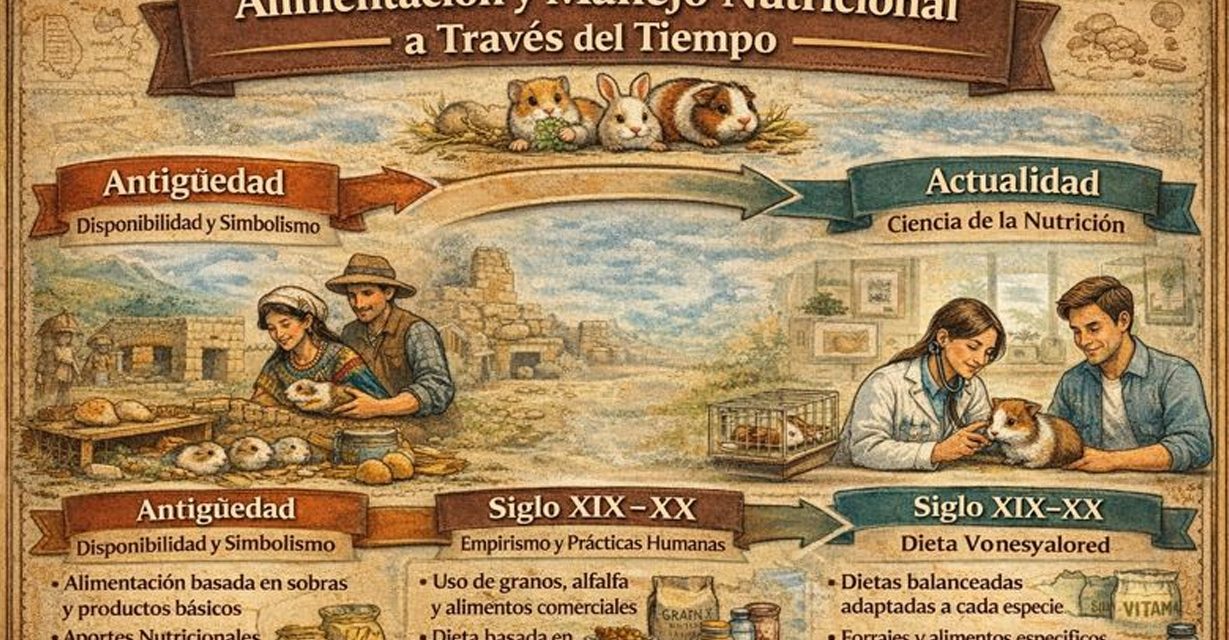 Alimentación y manejo nutricional a través del tiempo – pequeños animales domesticos