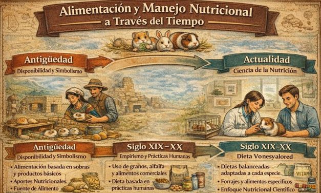 Alimentación y manejo nutricional a través del tiempo – pequeños animales domesticos