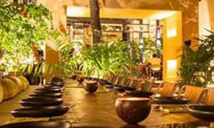 Bitácora del Sabor: La Sucursal que se Come a Mordiscos