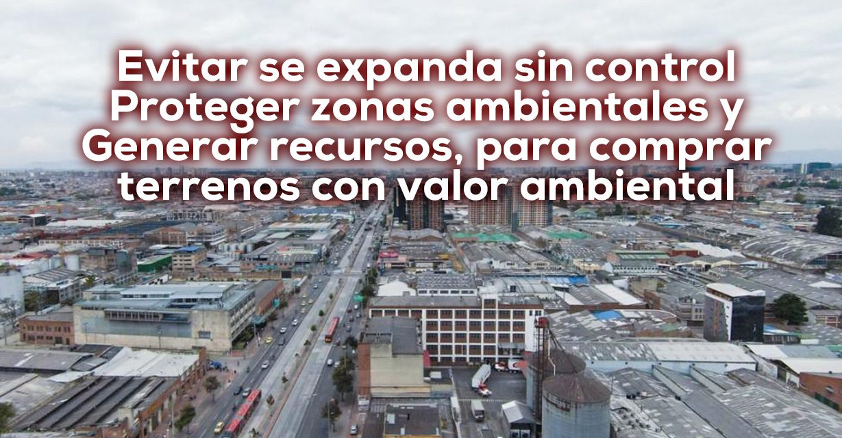 Subasta en Bogotá de derechos de construcción vs Cali