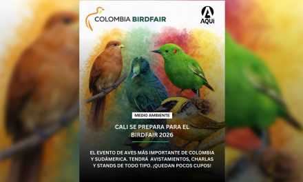 Cali, ciudad de las aves