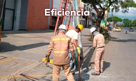 Gestión del EMCALI, atención de daños domiciliarios
