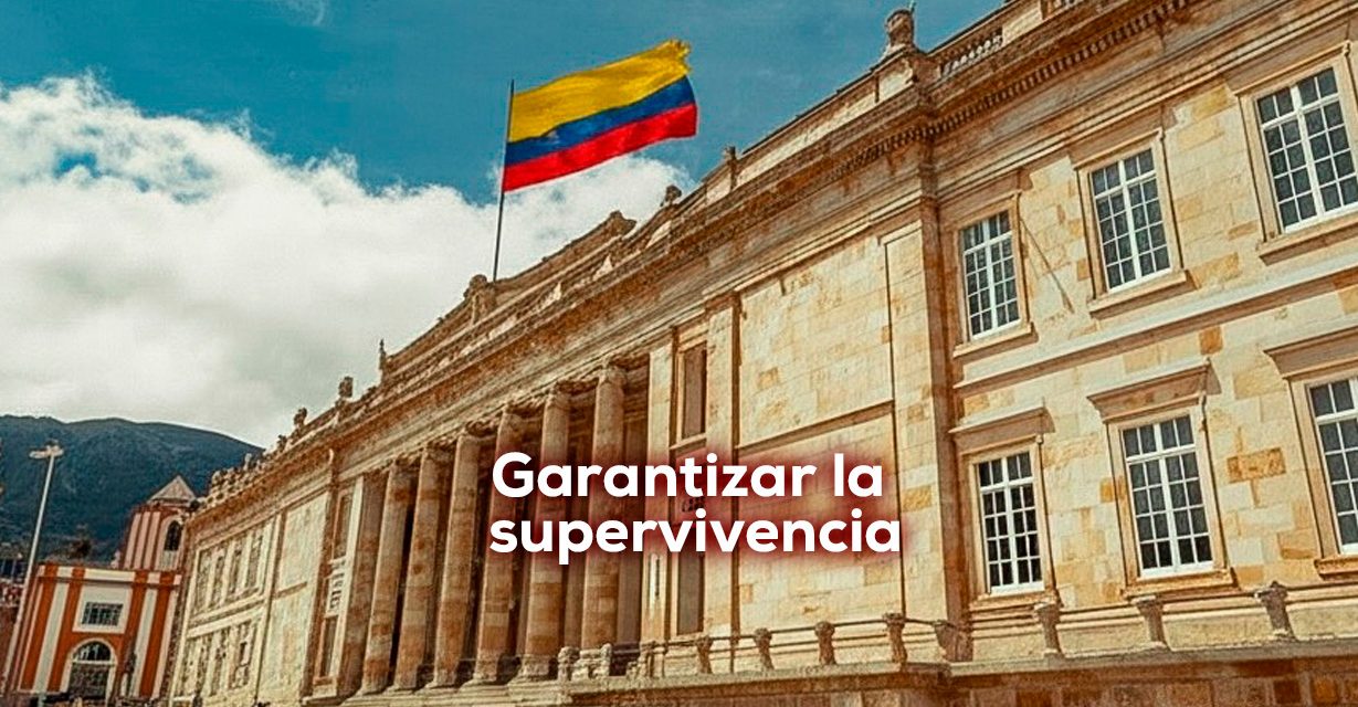 Democracia militante – patriotismo constitucional