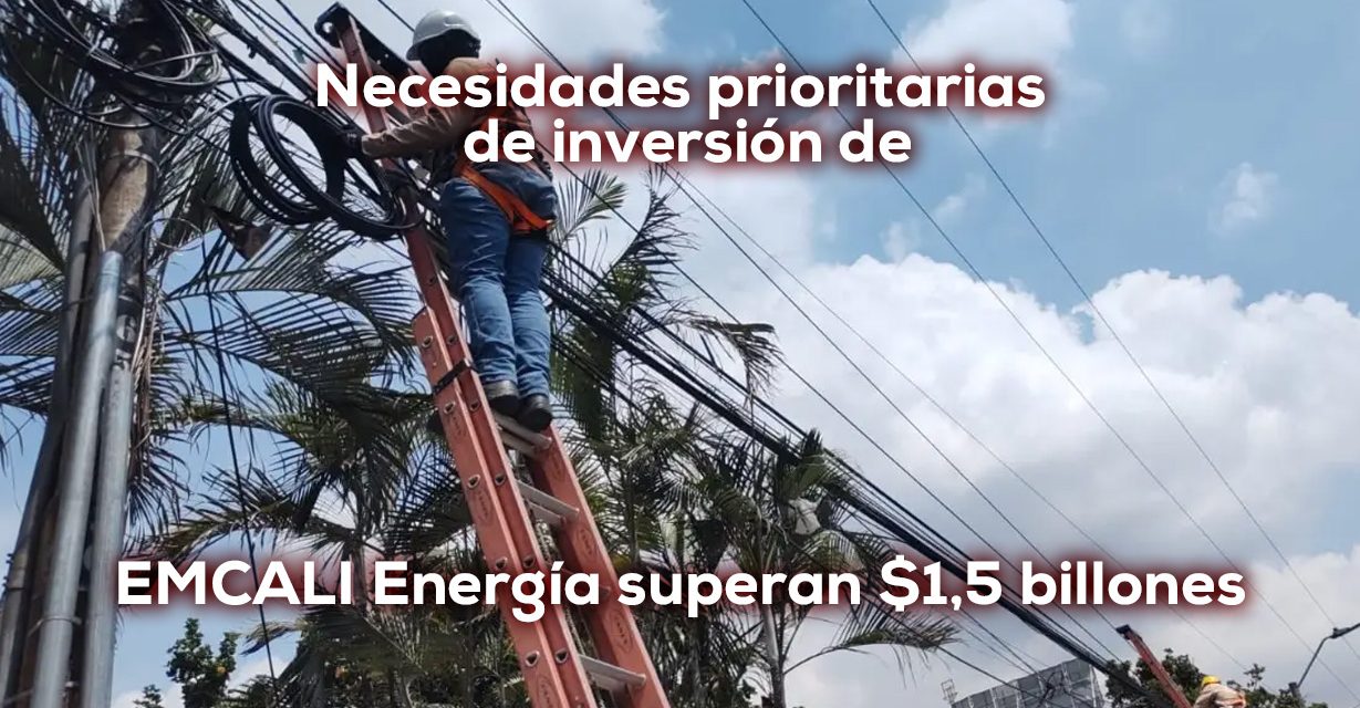 Problemas y Necesidades Prioritarias – EMCALI Energía